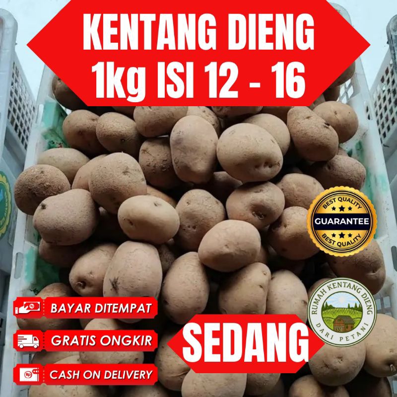 

Kentang Dieng 1kg kualitas bagus murah meriah promo petani