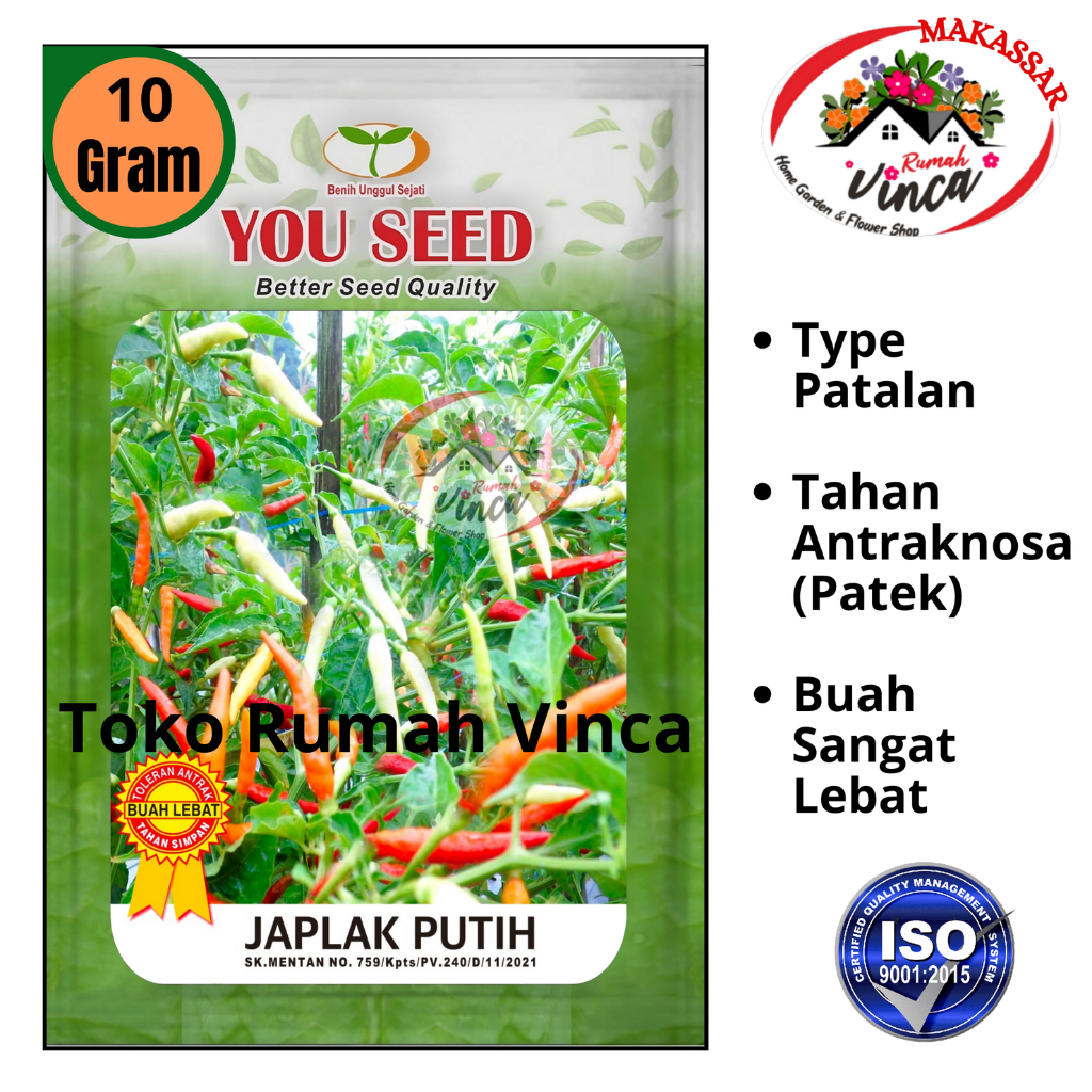 Benih Bibit Biji Cabe Rawit putih JAPLAK PUTIH 10 gram Cap You seed