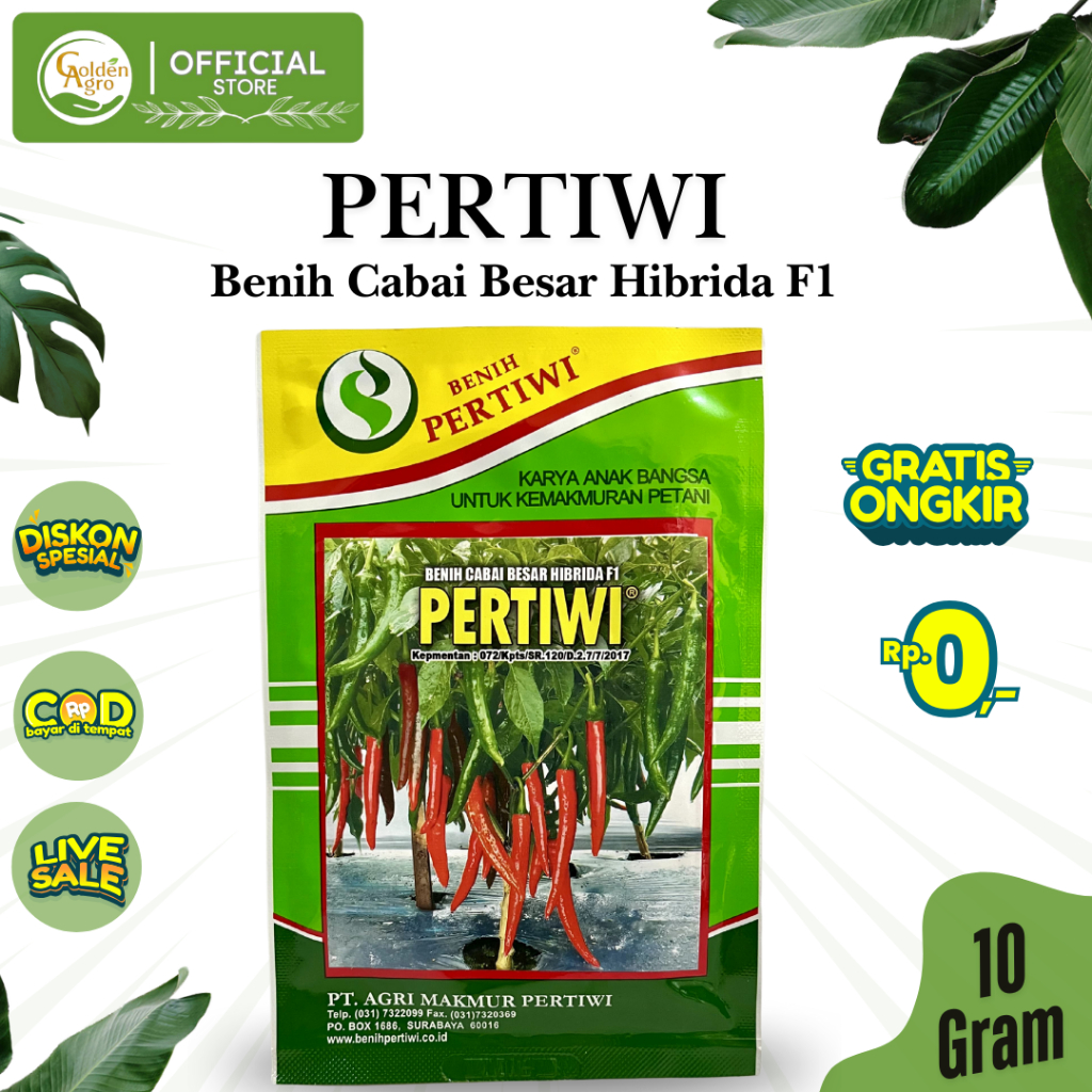 BENIH CABAI MERAH BESAR PERTIWI F1 10GR GR CMB PERTIWI