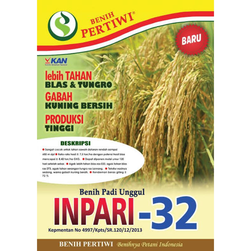 PADI INPARI-32 1KG/benih padi inpari-32 gabah kuning bersih bibit unggul siap tanam