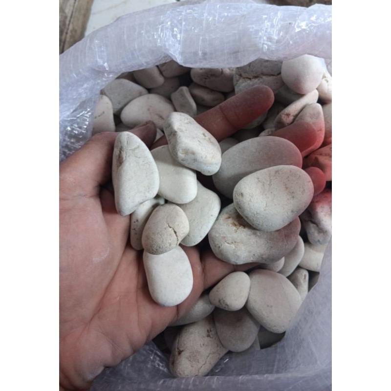 Termurah Batu Koral Putih / Batu Kupang hias / batu koral Kupang 500 gram Mohon baca deskripsi