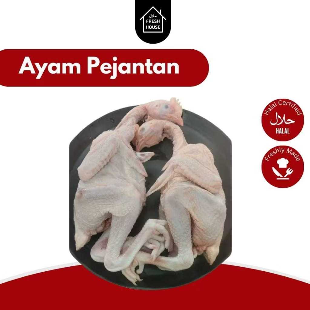 

AYAM PEJANTAN UTUH FROZEN BERAT 1KG