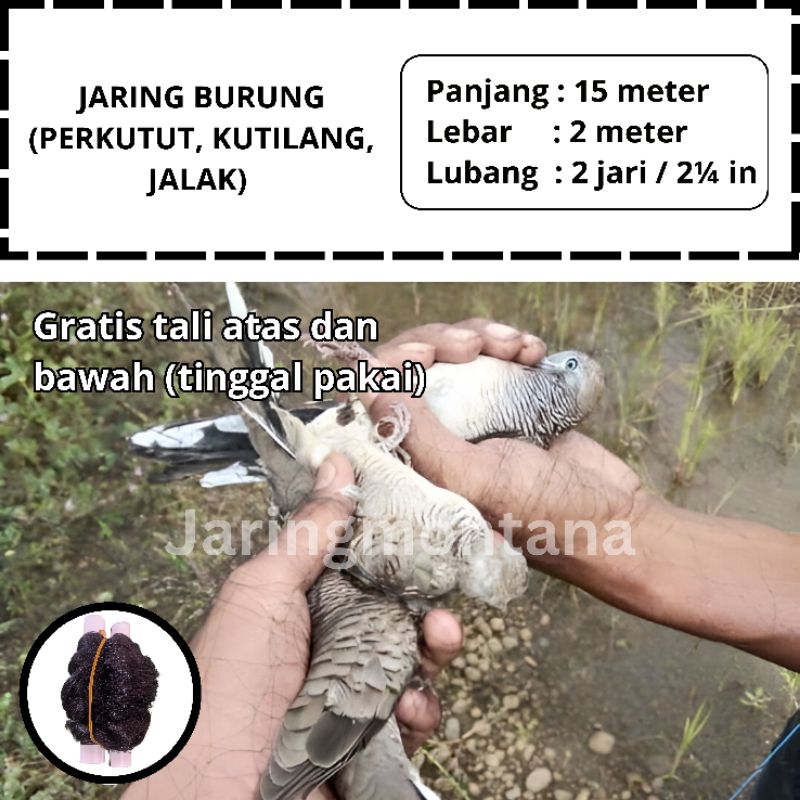 JARING PERKUTUT JALA BURUNG PERKUTUT SIAP PAKAI JARING BURUNG HITAM