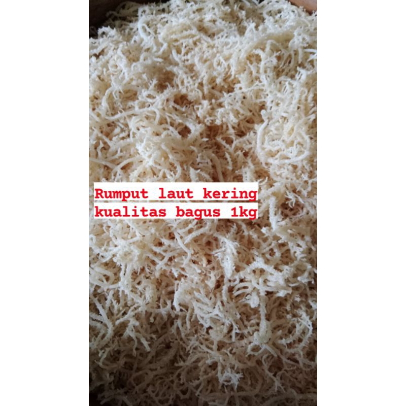 

rumput laut kering 1kg