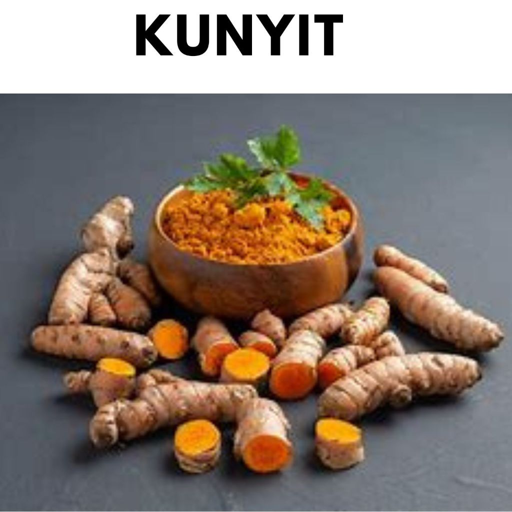 

Kunyit/Kunir/koneng Fresh dari Kebun Murah 1 Kg
