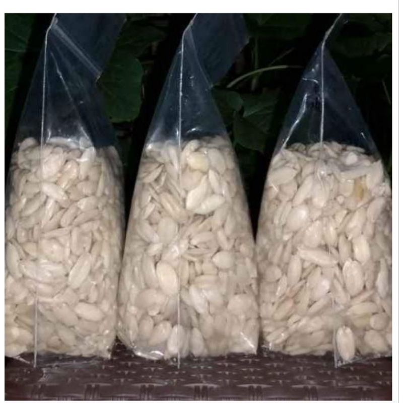 

kacang kenari