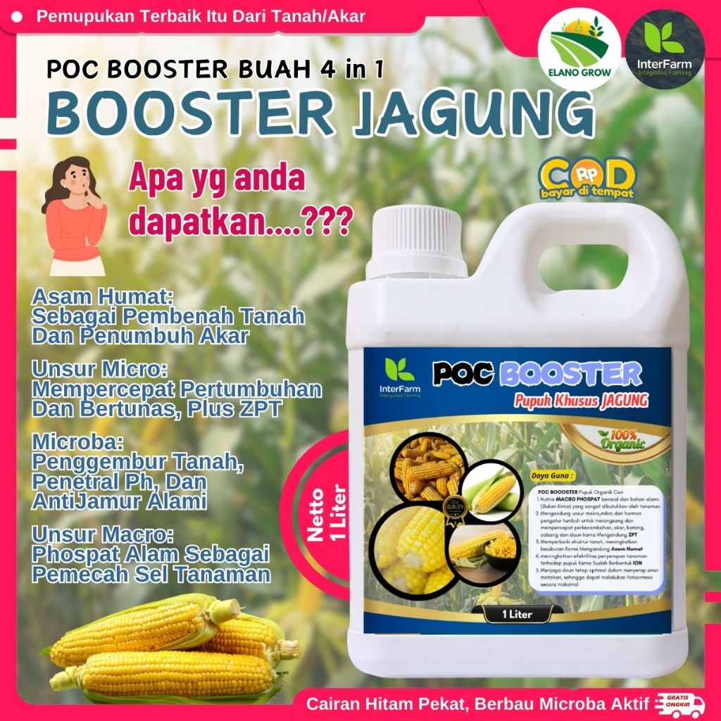 Pupuk cair khusus jagung,Pupuk cair untuk jagung,Pupuk penyubur daun dan buah, Obat jagung ELANOGROW