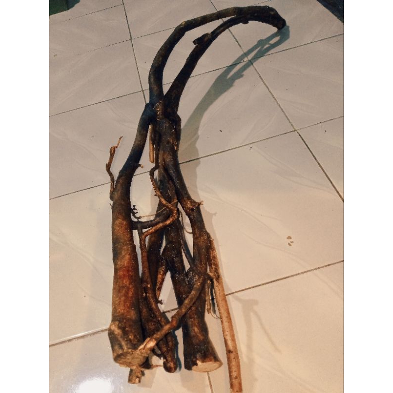 kayu akar mimang  asli motip