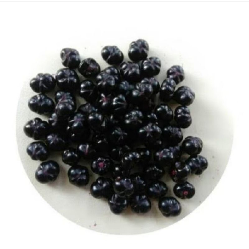 

buah binahong herbal fresh segar 200 biji