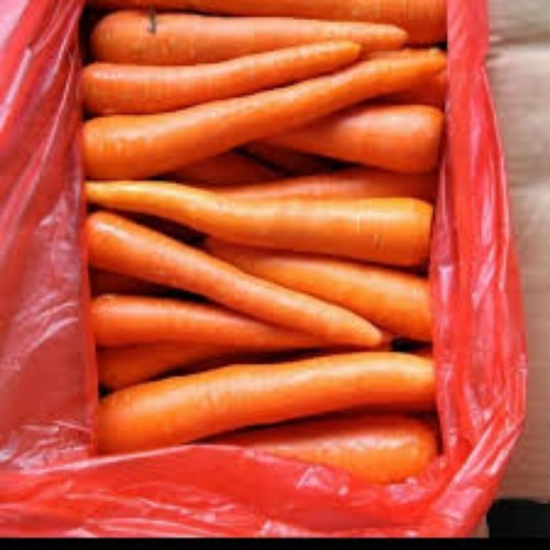 

wortel import/Berastagi 500grm
