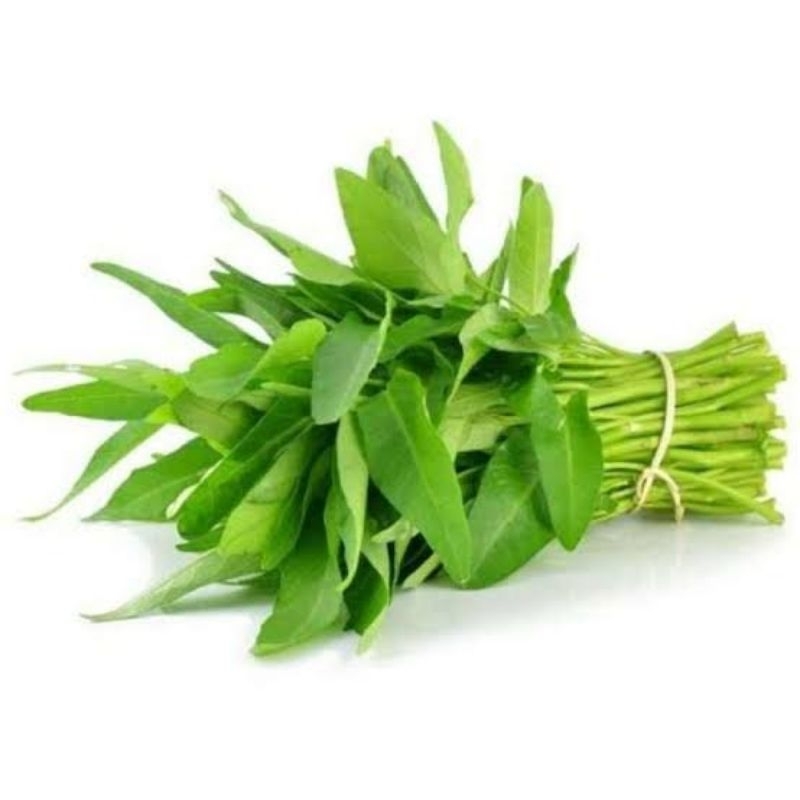 

kangkung 1ikat