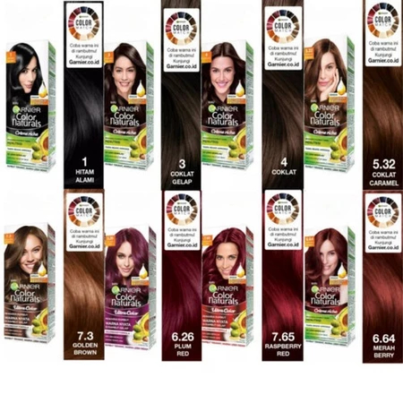 Garnier Color Natural Hair Color (box) 55ml