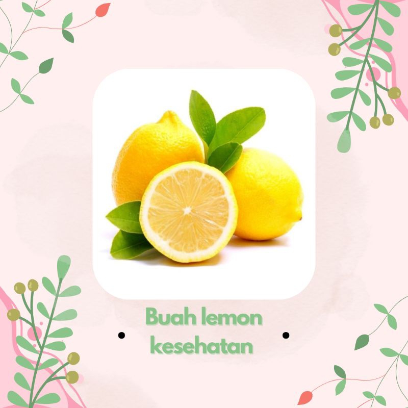 

buah lemon impor fresh per kg
