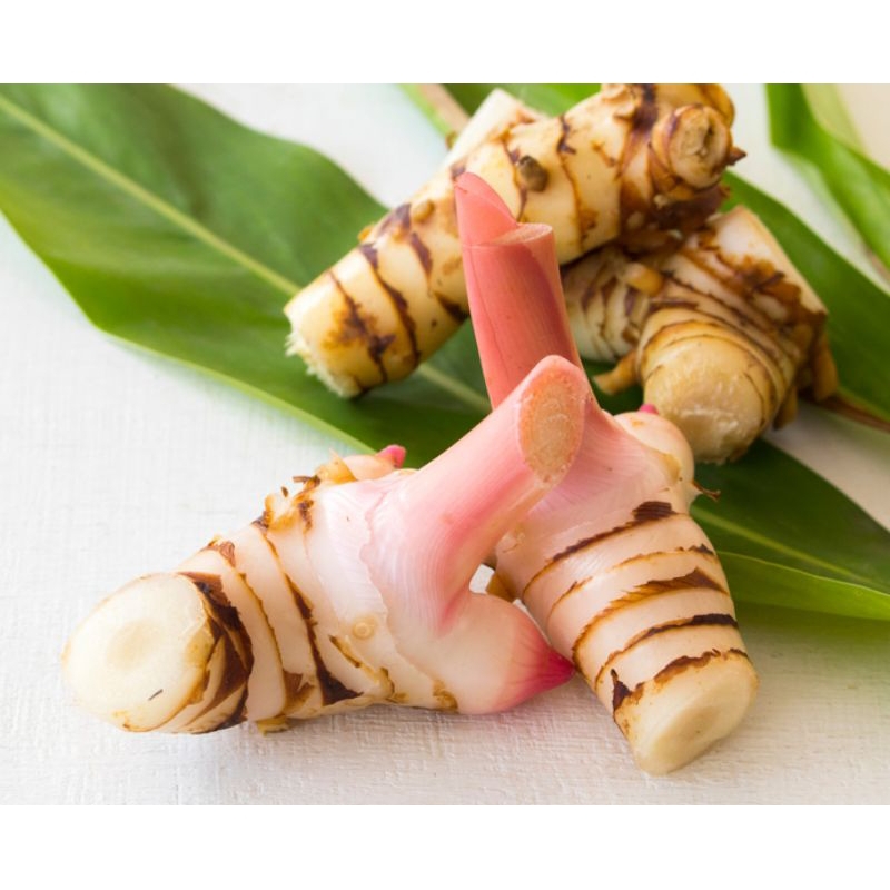 

Jual Lengkuas Putih Laza putih Rempah-rempah Alam/1kg