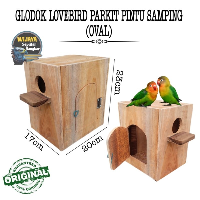 glodok lovebird parkit pintu samping pintu lengkung