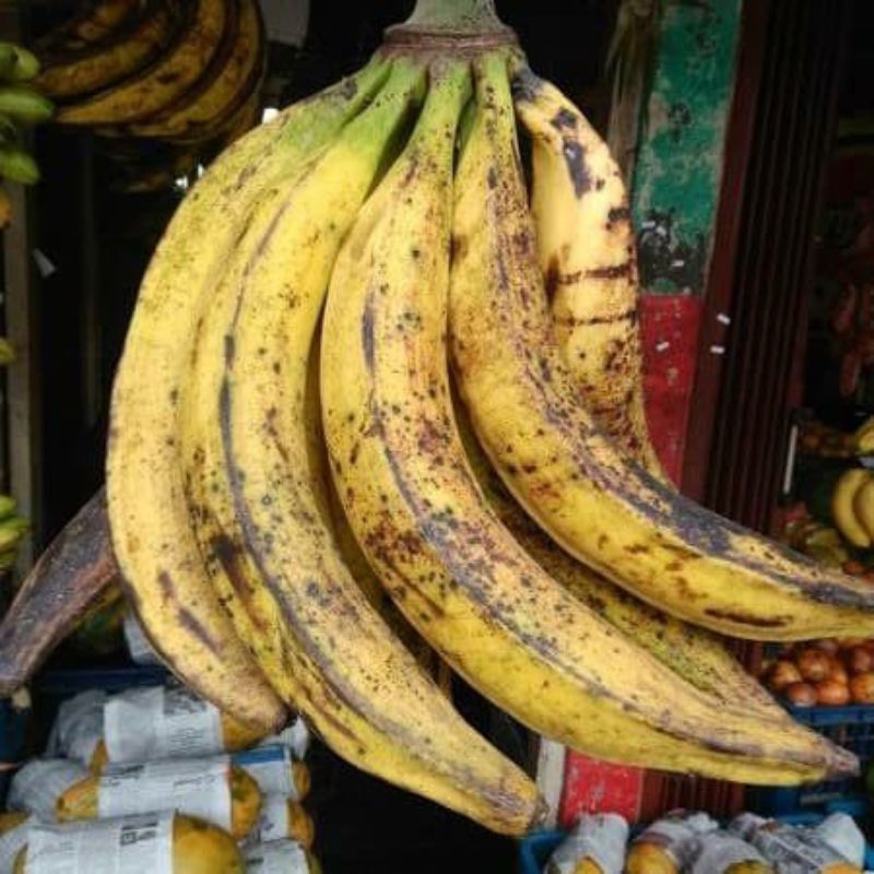 

Buah pisang tanduk 1kg