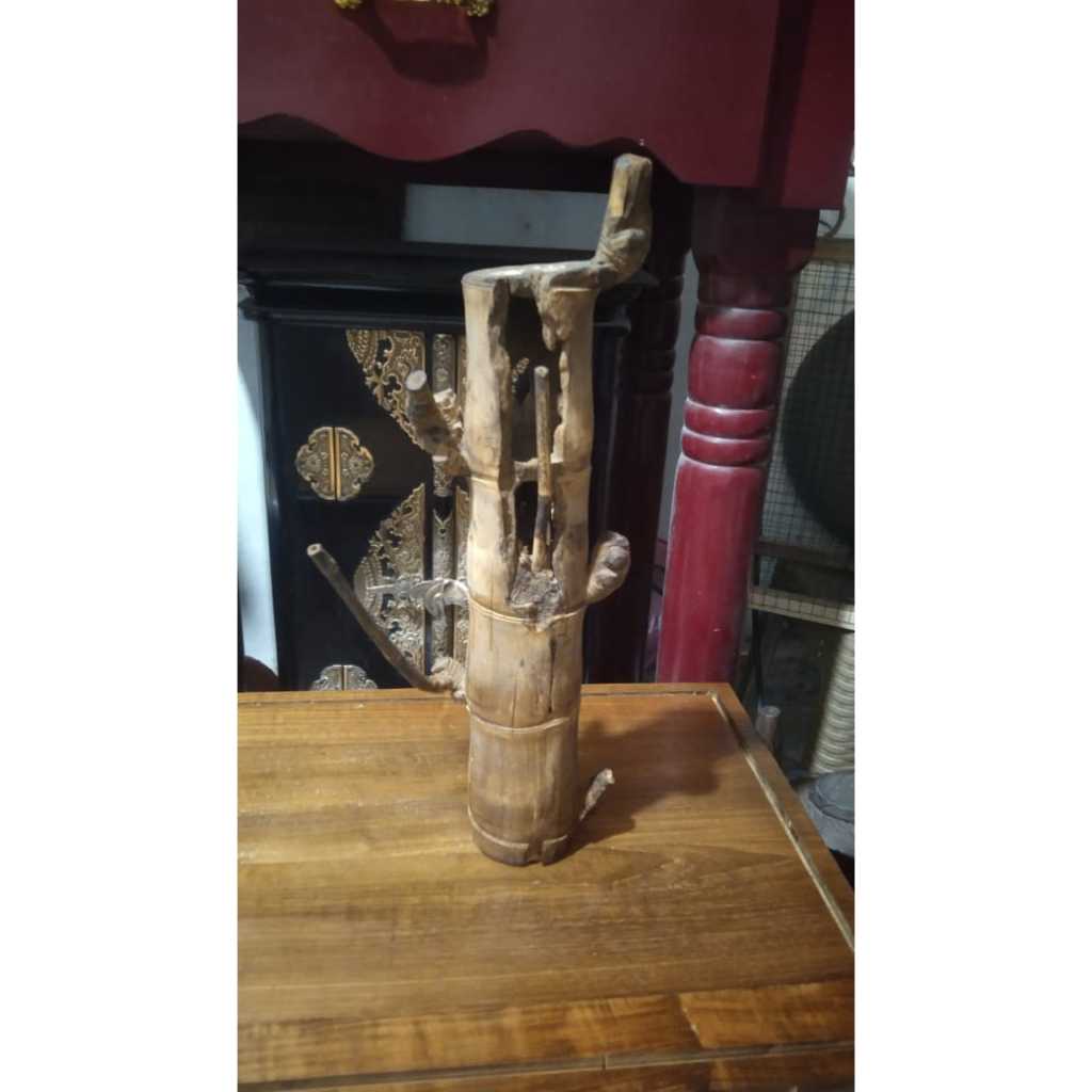 Bambu Combong Alami Asli Natural