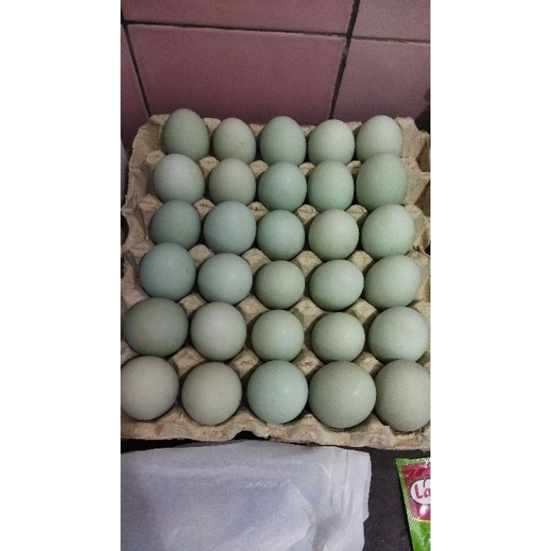 

Telur Asin