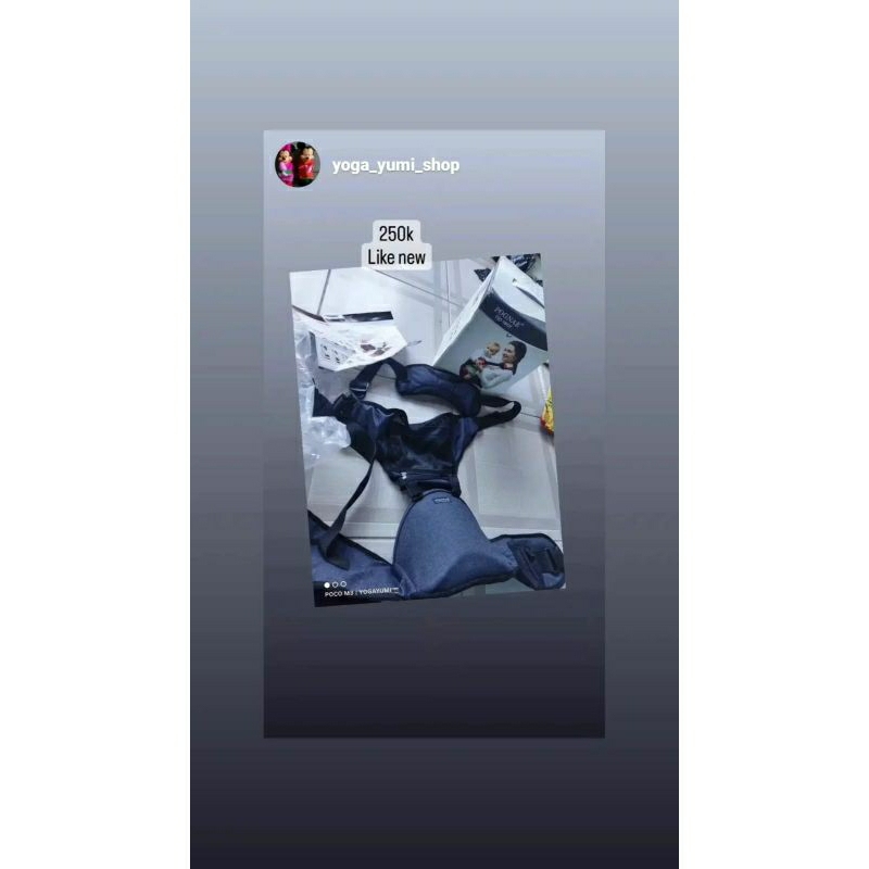 Pognae hipseat