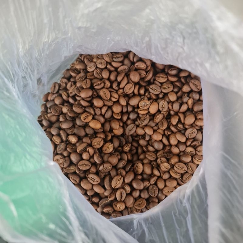 

BIJI KOPI SANGRAI ROBUSTA | Temanggung|