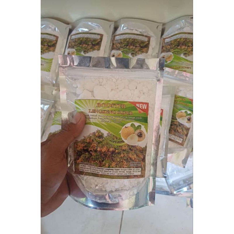 BOSTER Kelengkeng aslii
