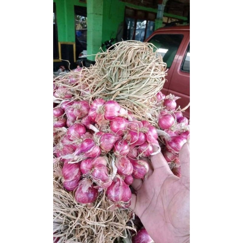 

bamer termurah 500gram