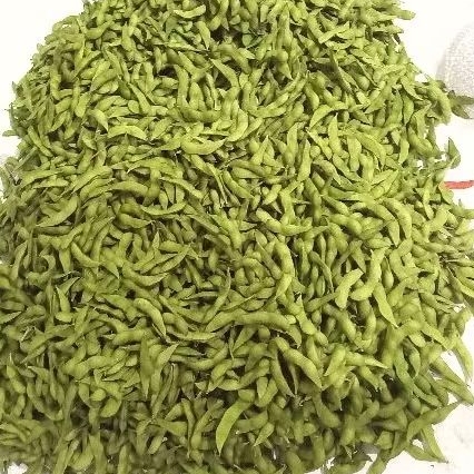 

Edamame Fresh 1kg jateng jatim area