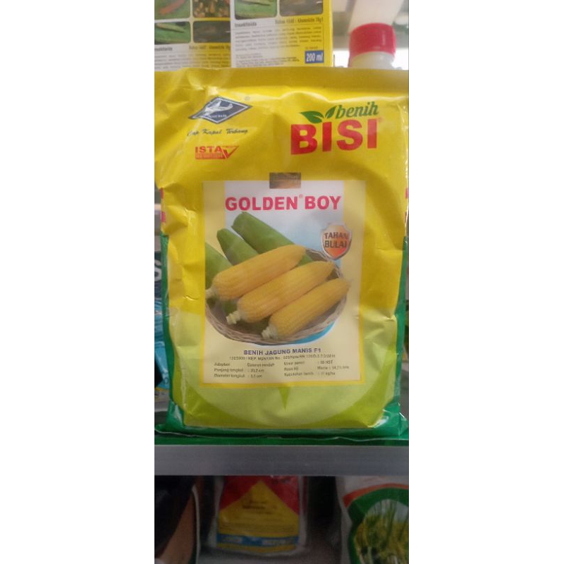 

benih JAGUNG MANIS GOLDEN BOY 500gr
