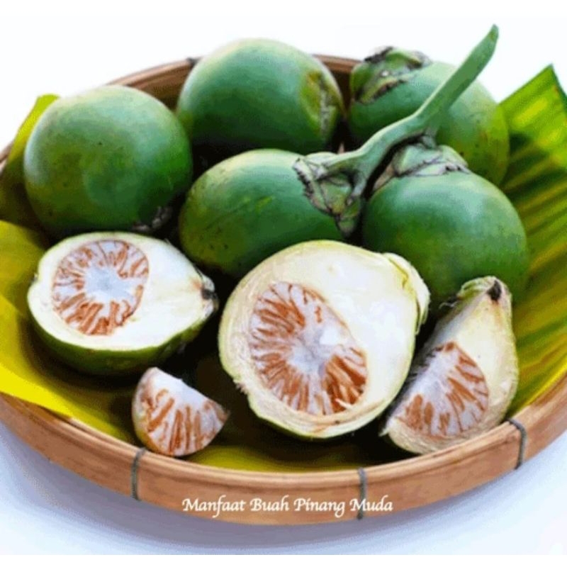 

BUAH PINANG MUDA FRESH 1KG BISA COD TERMURAH MURAH MERIAH