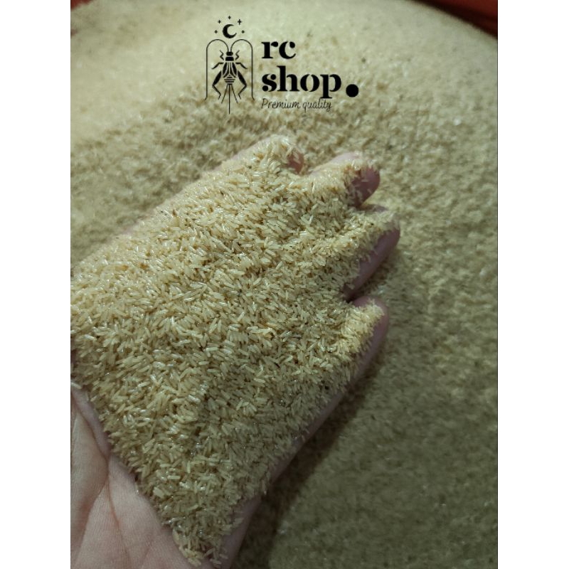 Telur jangkrik madu kunyit /Tj madu