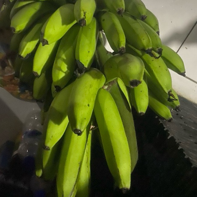 

Buah Pisang Matah ES W Daly isi 10 Buah Pisang