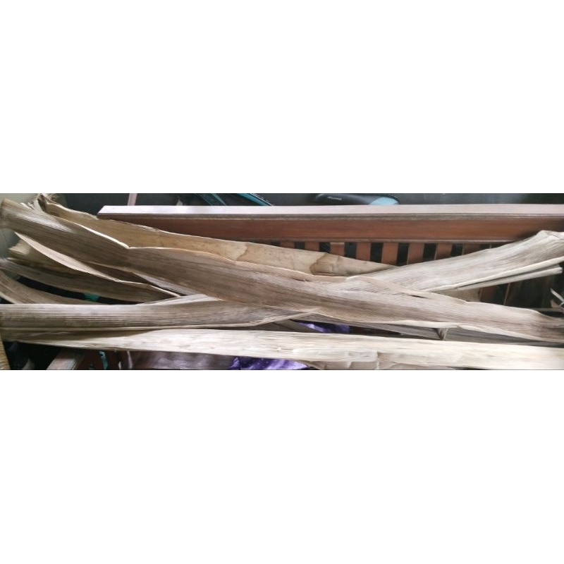 gedebong/gedebog/pelepah pisang kering untuk kerajinan ukuran 30cm 1 ikat isi 10 15000