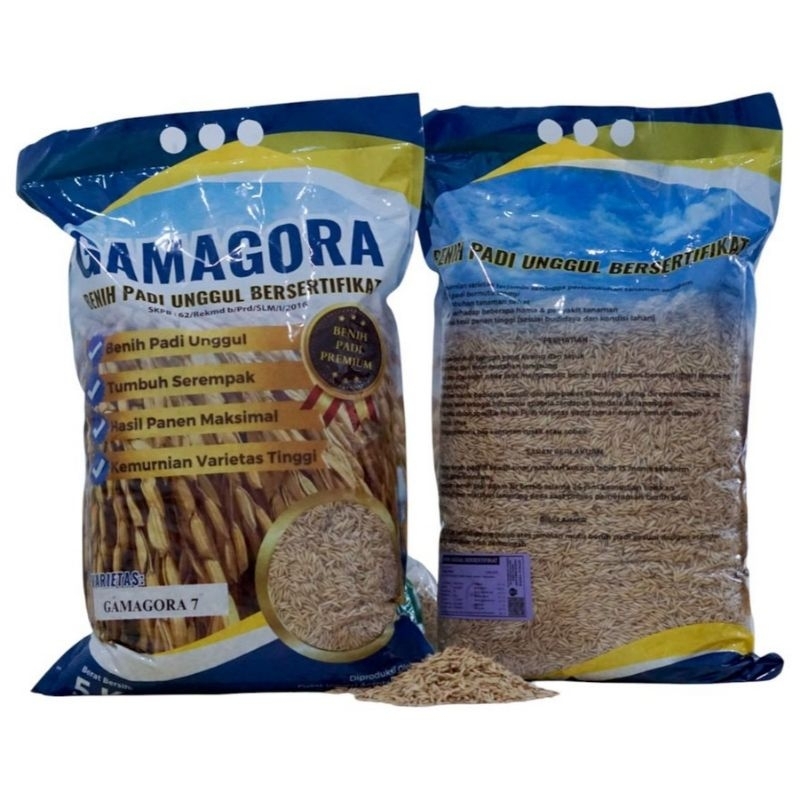 

BENIH PADI GAMAGORA 7