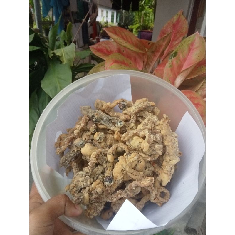 

kenz kripik usus homemade 1000g + toples