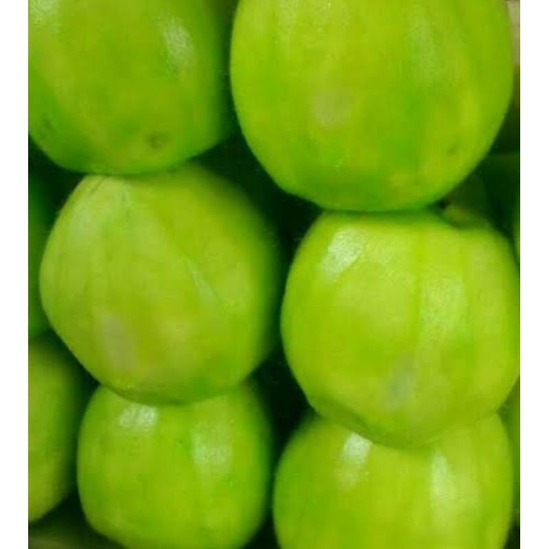 

Manisan Jambu khas Medan