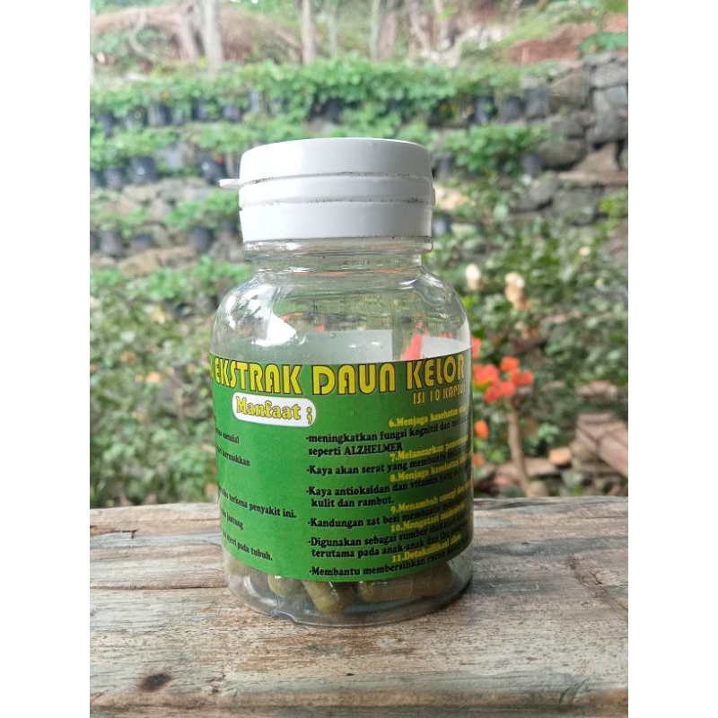 keloreena original 100% asli daun kelor
