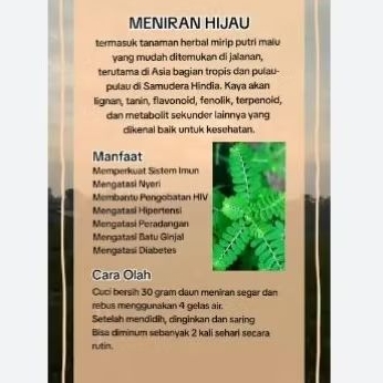 

Meniran Hijau, Tumbuhan Liar dan Herbal
