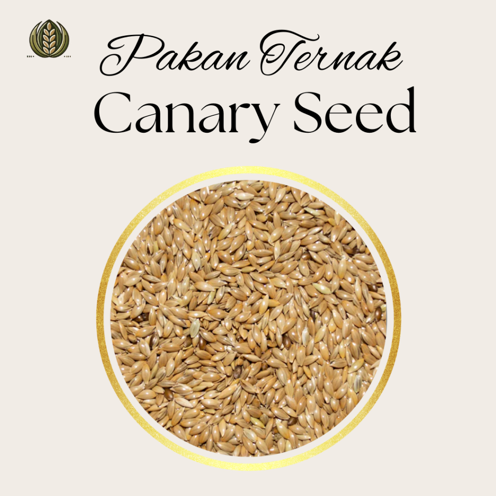 Nature's Kernel - Pakan Burung // Biji Kenari/Canary Seed - 25 kg// Khusus Grab dan Gojek