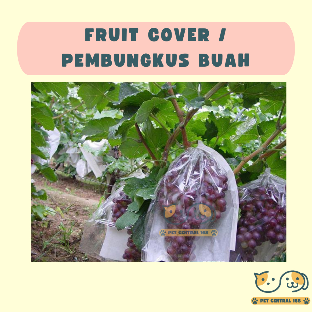 1pc Fruit Cover Brongsong Buah Anggur, Klengkeng, Pembungkus Buah