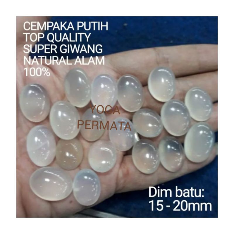 BATU CINCIN CEMPAKA PUTIH SUPER GIWANG NATURAL