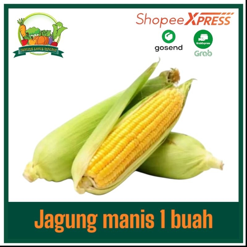

Jagung manis kulit 1 buah - KIRIM INSTAN