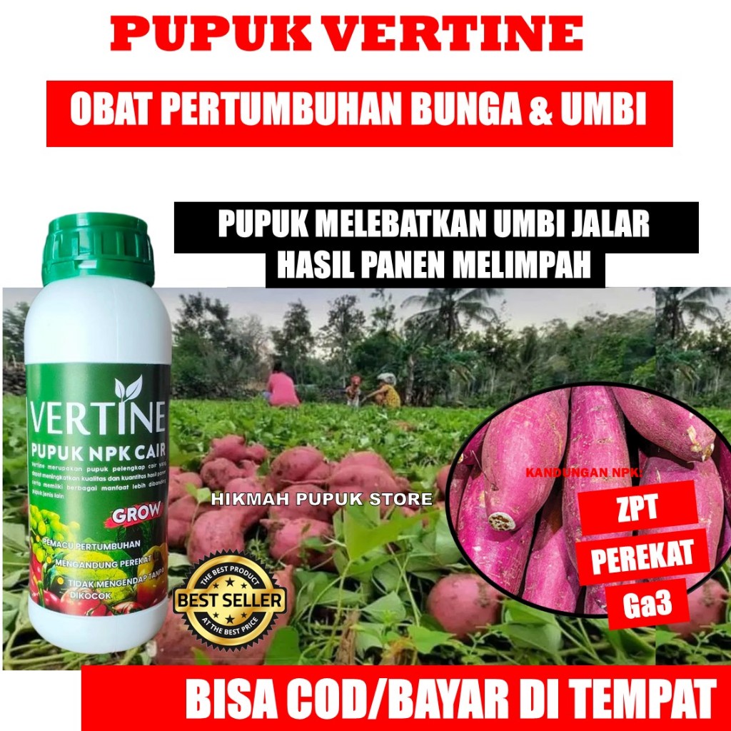 COD Vertine Grow Obat Penyubur Ubi Jalar Ungu isi 500 ml Pupuk Penambah Anakan Ubi Jalar Ungu MeLeba