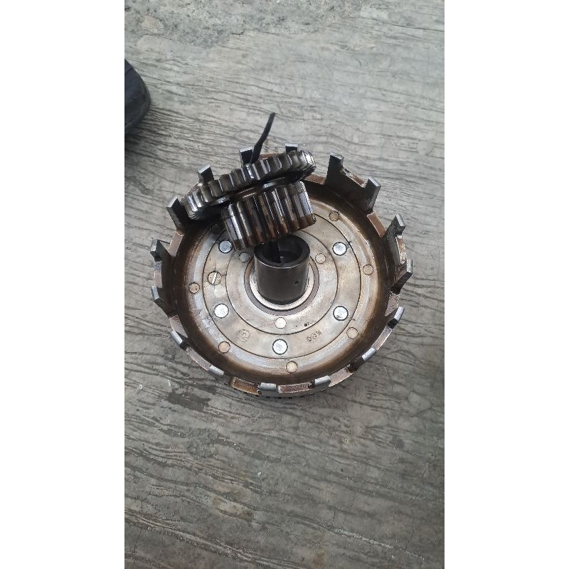 ronsel dafgear primsek tiger original