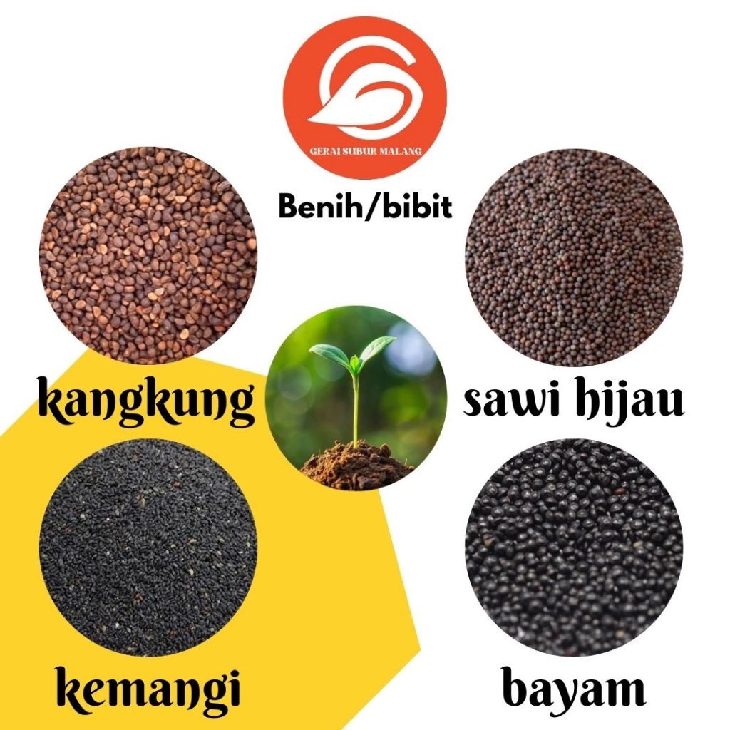 GERAI SUBUR MALANG Benih Bibit Sayur / Sayuran Organik Super Unggul / Lebih Sehat Dan Berkualitas
