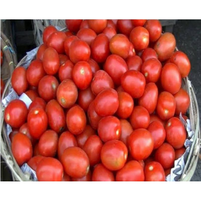 

tomat (500g)