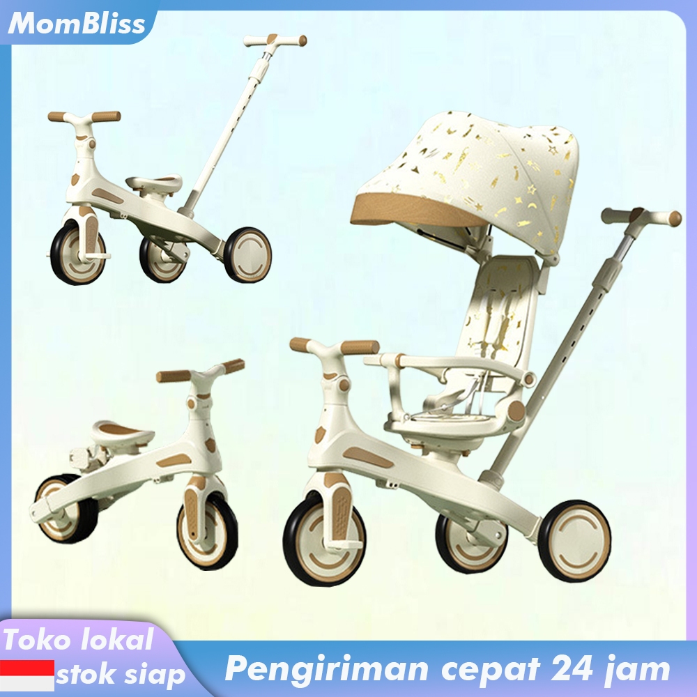 Sepeda Roda Tiga Anak Sepeda Roda 3 Bayi Tricycle Anak Sepeda Anak New Model