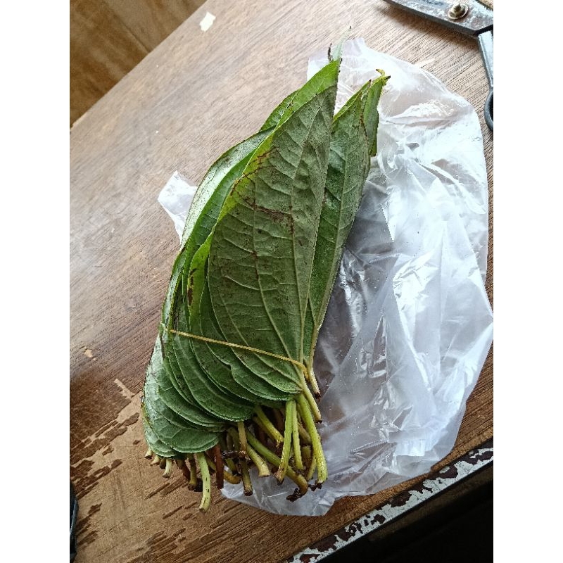 

Daun sirih medan 2 kepit