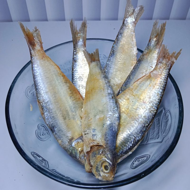 

Ikan tembang