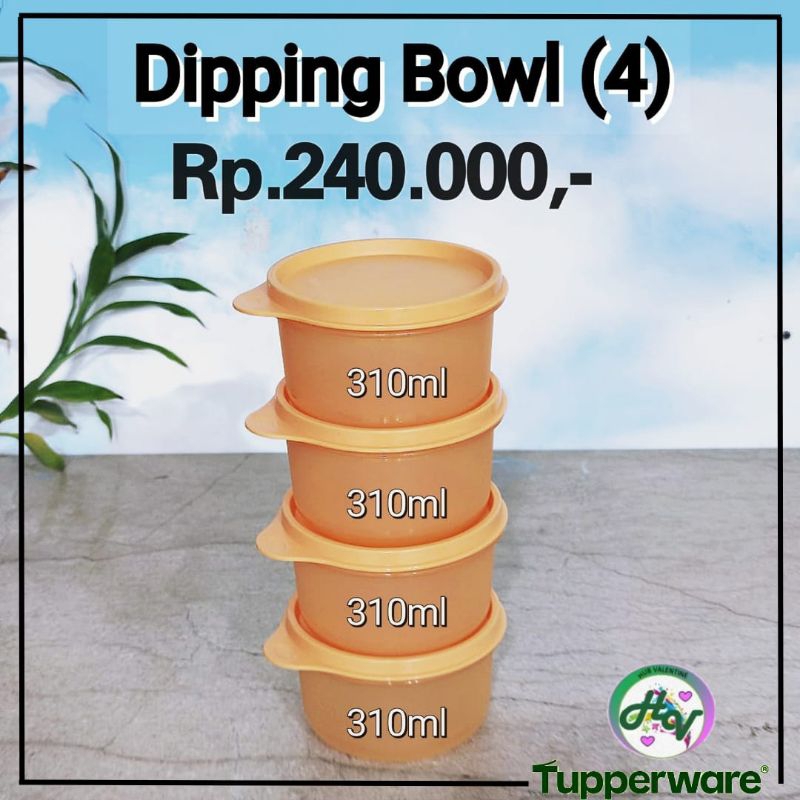 Rice Bowl Tupperware