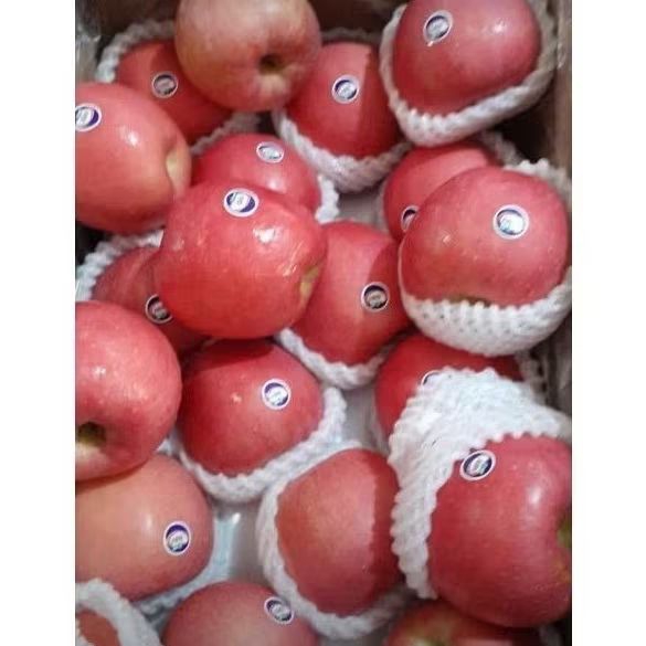 

Apel Fuji Wangshan Premium